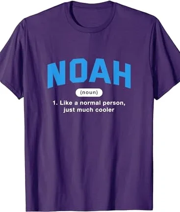 Noah Kahan Purple T-Shirt